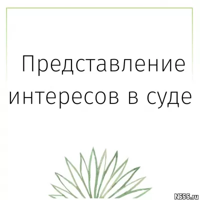 Представительство в суде